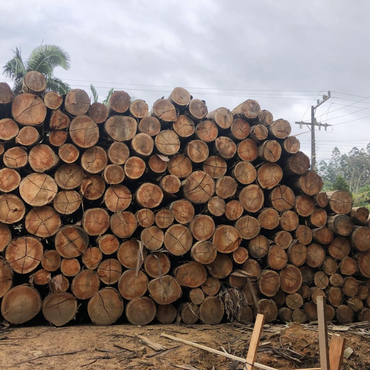 117a8a0b-5334-4cf5-af43-2cbac7ef8242