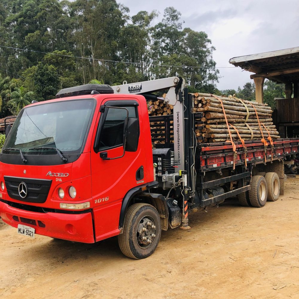 26dc9802-97cb-4580-8674-f86182dff70b