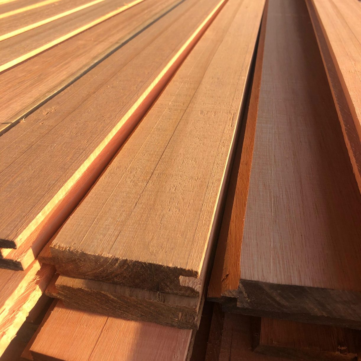 8c594dda-8625-4faf-ad41-3b320771affc