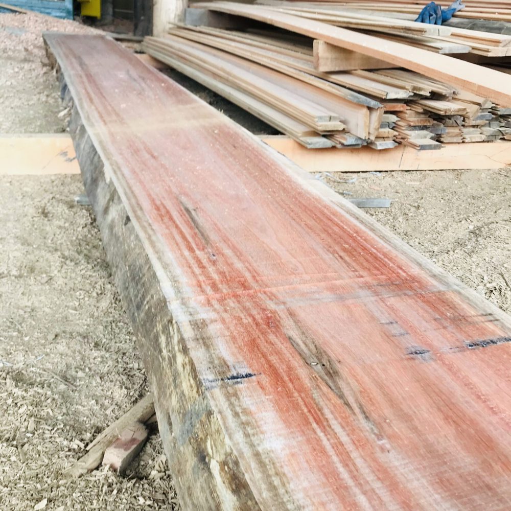 f5c03b69-a634-4b10-9b62-f891515d73dc